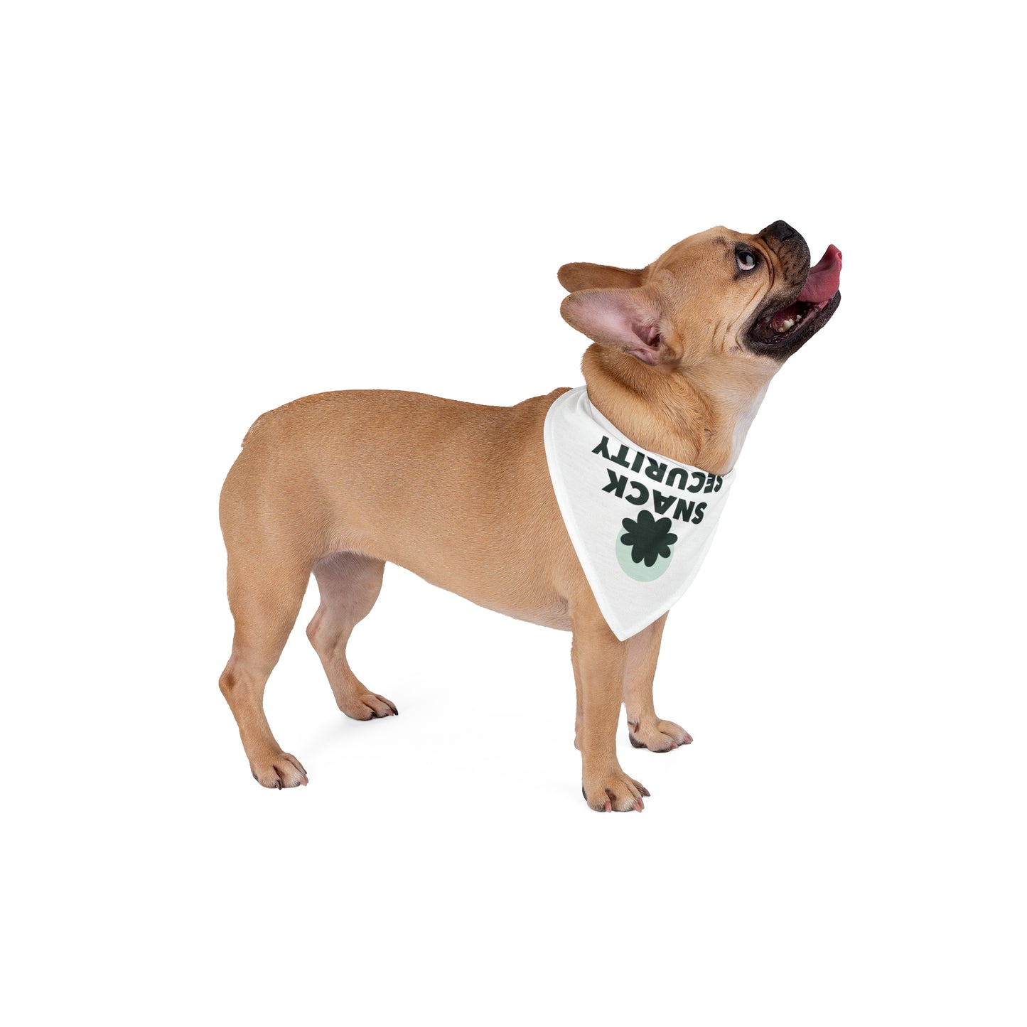 Custom Pet Bandana - Snack Security