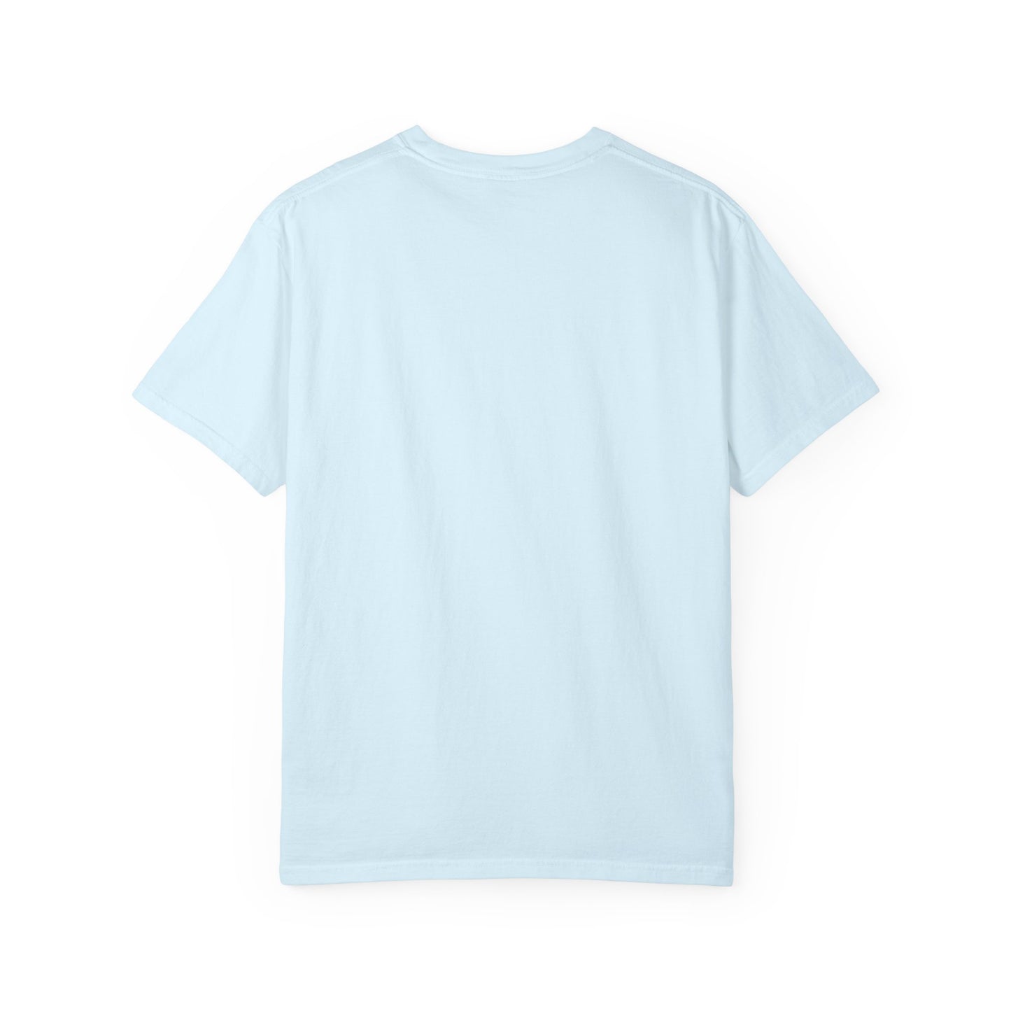 Petty Studio “Chief Scratch Officer” T-shirt — Vintage Cat Graphic Tee